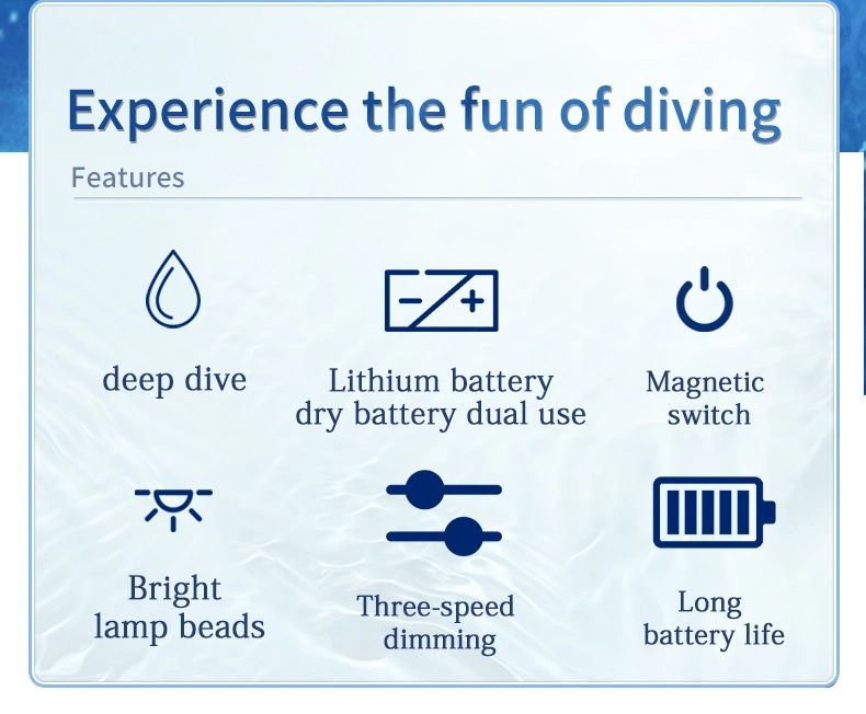 Professional Diving Flashlight Diving Torch LED Flashlight