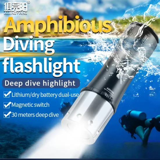 전문 다이빙 손전등, 다이빙 손전등, LED 손전등